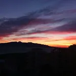 Aris